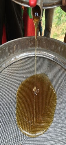 Filtering-Honey-2